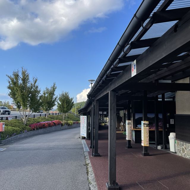 【大分県】天空の散歩道で大自然を体感！