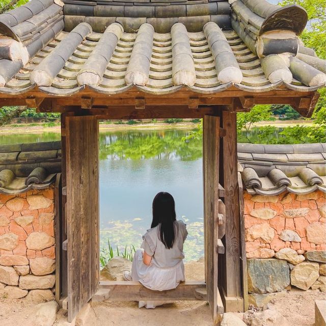 부산근교 산책하기 좋은 여행지, 밀양 🌱