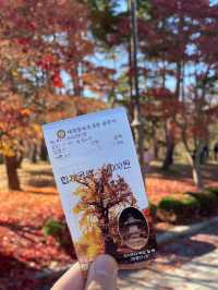 가을하면 뜨는 단풍여행 명소 : 용문사