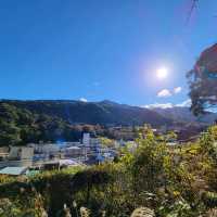 【森の中の温泉】箱根湯寮