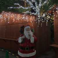 【天神中央公園】クリスマスイルミネーション