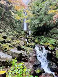 養老の滝