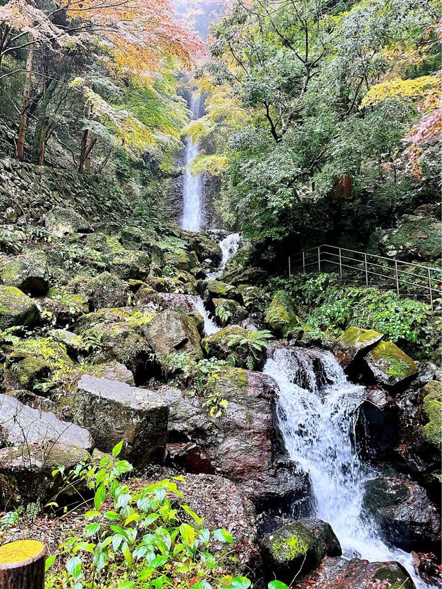 養老の滝