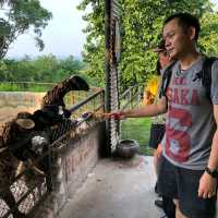 Khao Yai's Bonanza Exotic Zoo