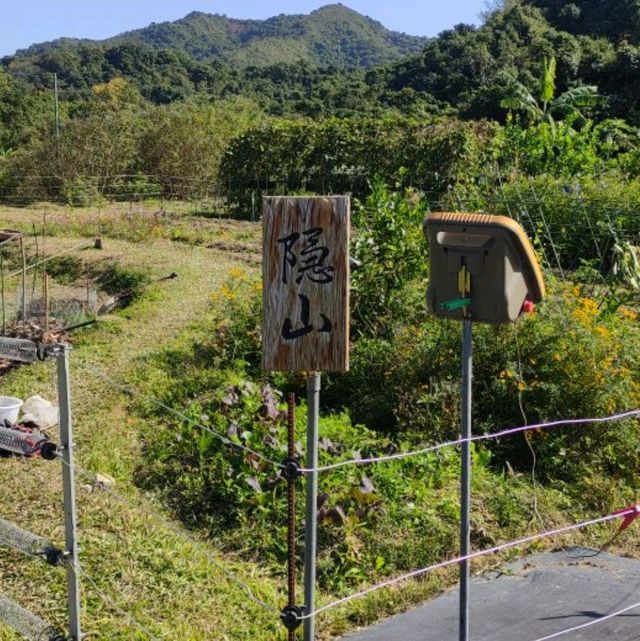 荔枝窩之文化之旅 重新認識客家村落