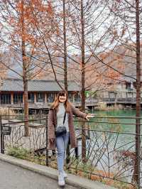 Hwadam Botanic Garden at South Korea 🇰🇷