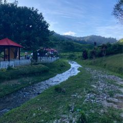 Cameron Valley Tea House 여행 사진