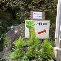 ジャングル気分が楽しめる熱川バナナワニ園