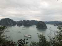 Halong Way Cruise 