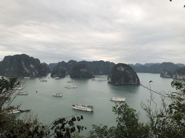 Halong Way Cruise 