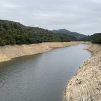 馬騮聚集聖地 （金山郊野公園）