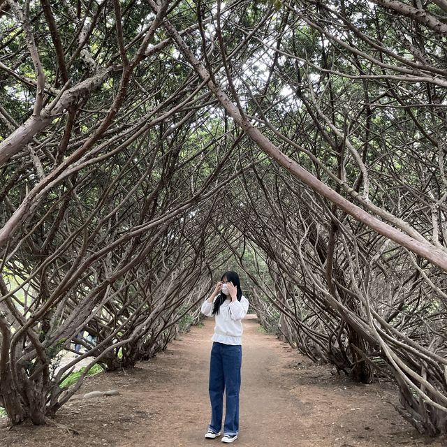 자연과 함께하는 벽초지 수목원