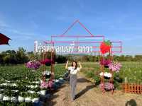 One day trip : วังน้ำเขียว