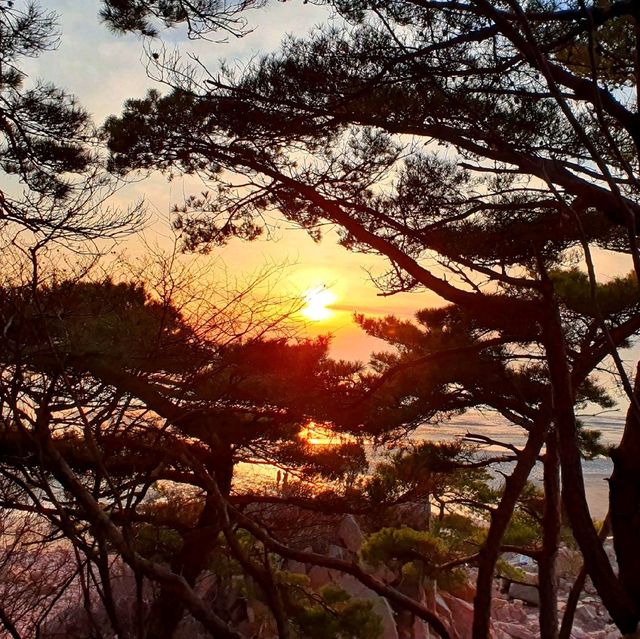 서해 노을 명소, 하나개 해수욕장