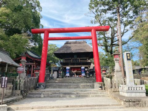 熊本県】国宝青井阿蘇神社でパワーチャージ⛩ | Trip.com 人吉