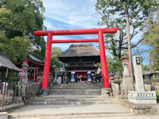 【熊本県】国宝青井阿蘇神社でパワーチャージ⛩