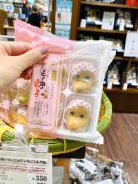 沖縄🌴250店舗が並ぶ！また行きたい❤️浦添パルコが便利すぎなんです