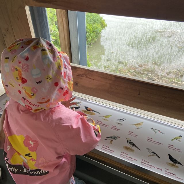 來一趟親子濕地探索之旅