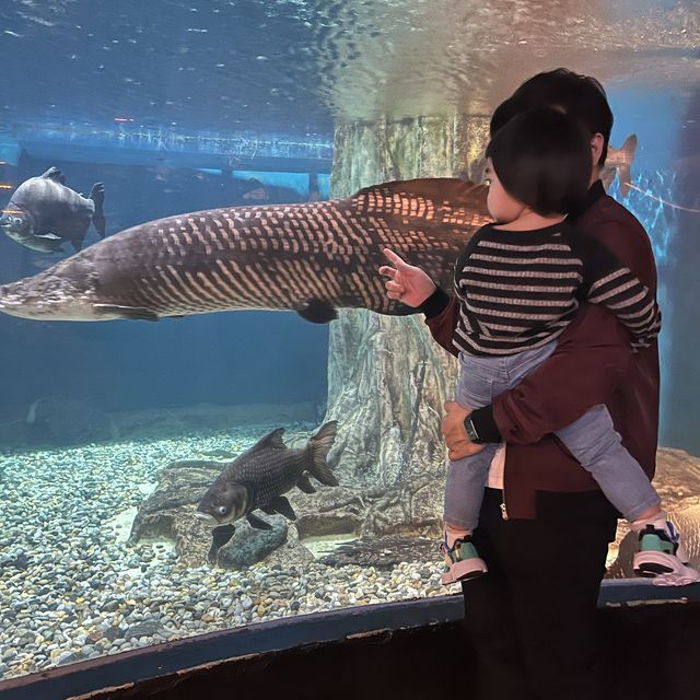 Petrosains KLCC