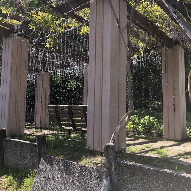 散策路が楽しい、定山渓二見公園