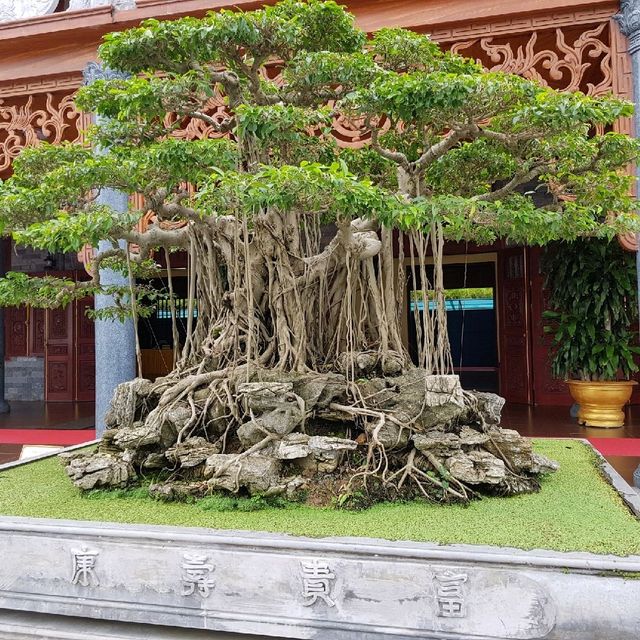 北越廣寧景點--東南亞最大寺院巴旺寺Ba Vang Pagoda