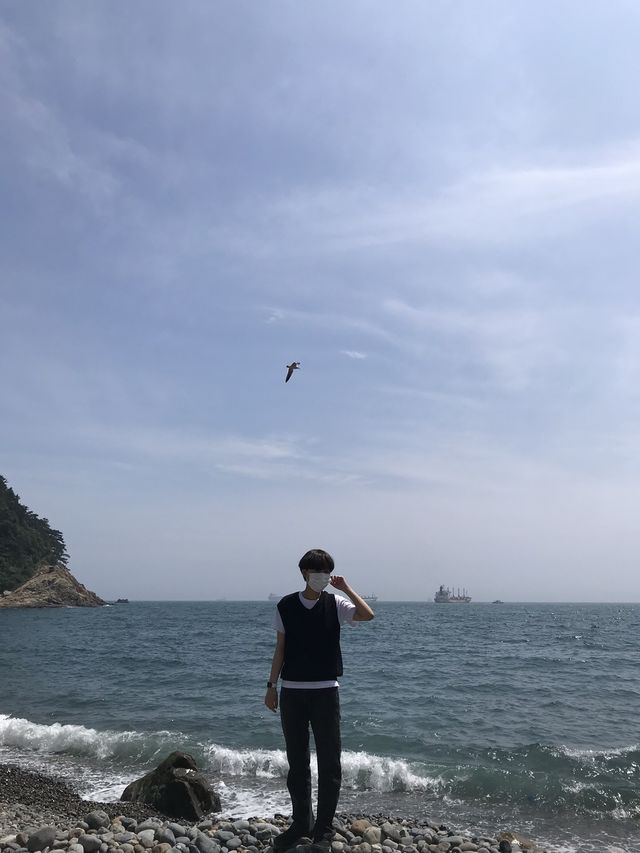 물멍하러 ?!? 태종대 🌊