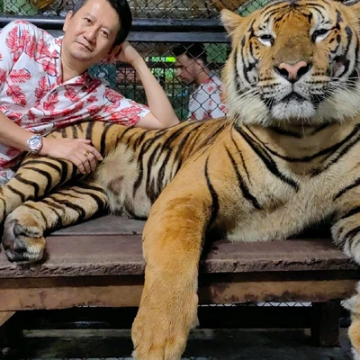 Hugging New Beastie in Tiger Kingdom Phuket. Phuket Travelogues Hugging New Beastie in Tiger Kingdom Phuket. Phuket Travelogues