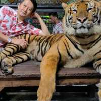 Hugging New Beastie in Tiger Kingdom Phuket.