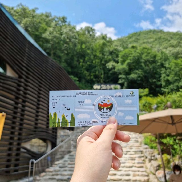 조상님들처럼 여름 나기 🌊 단양 고수 동굴 탐방🌊