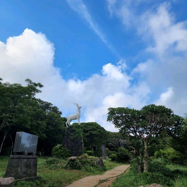 제주 너무 좋아요