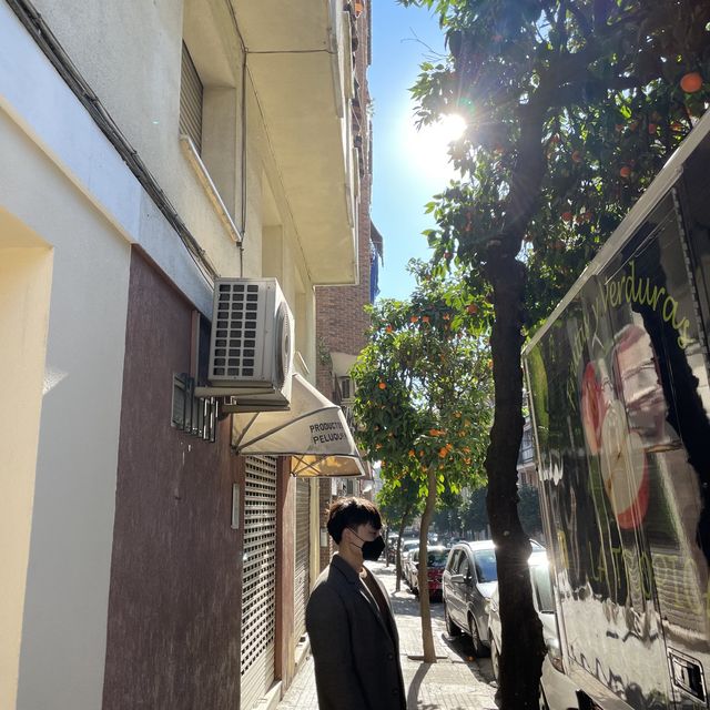스페인 한 달 여행 day11 - [코르도바]