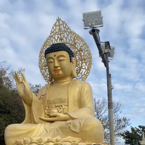 제주 ⛰ 산방포문사 🙏🏻💗🫶🏻