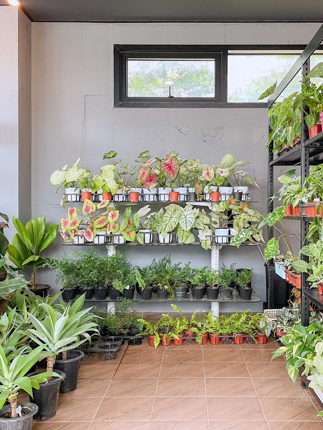 담양 신상 카페 풀멍🌱🌿