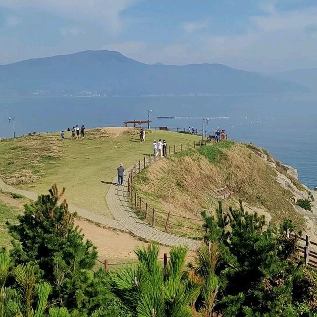 네덜란드 풍차감성 넘치는 거제 바람의 언덕