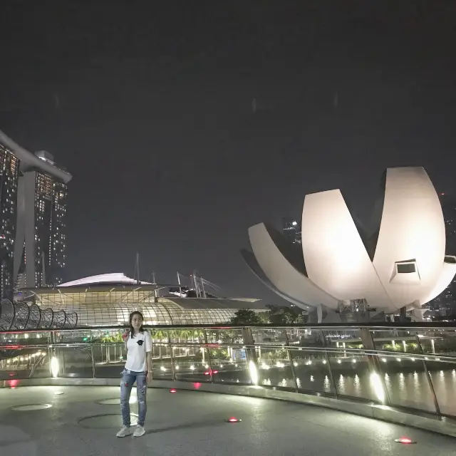 Lotus structure at Marina Bay