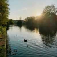 Buckingham Palace Park Area