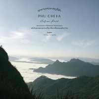 ภูชี้ฟ้า - ชมทะเลหมอกเคล้าลมหนาวท่ามกลางขุนเขา