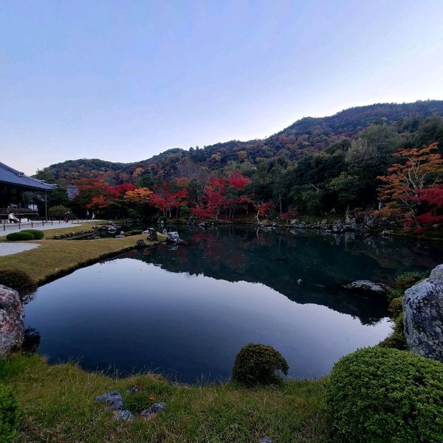 世界文化遺産【天龍寺】✨