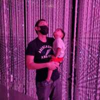 Arts Fun At The Artscience Museum