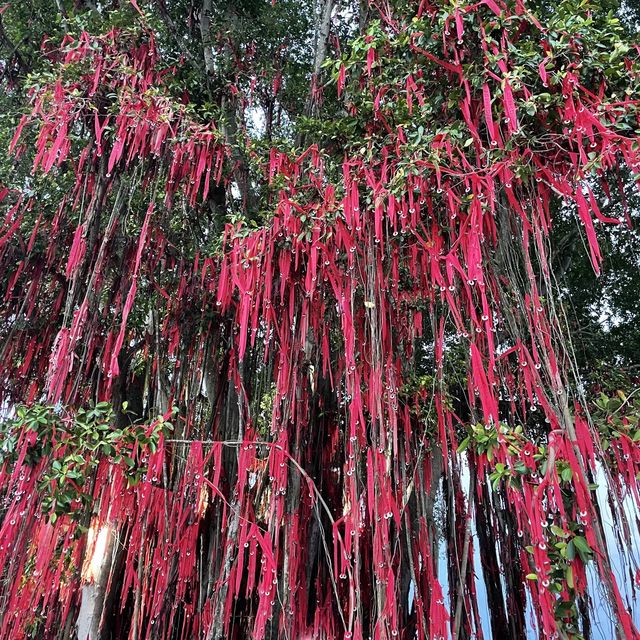 #Pantai Redang熱浪沙灘#許願樹#日落#潮退#海鮮