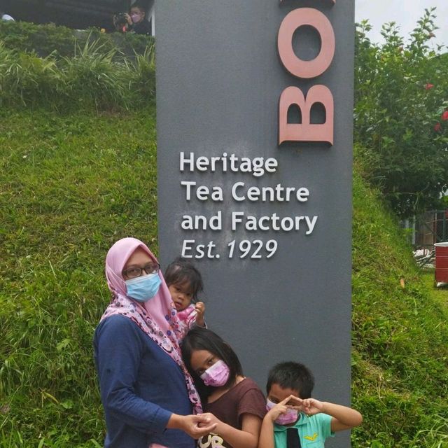 BOH Tea Plantation Habu 🍵🌿