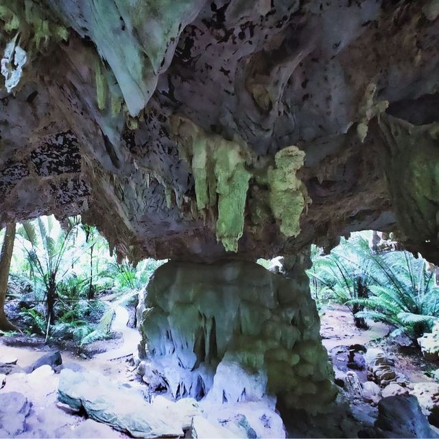 Unseen ❗️หุบป่าตาด ป่าดึกดำบรรพ์ 🦕เมืองอุทัย 🦇