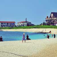 🏖 모래가 아닌 산호로 빛나는 해변, 우도 서빈백사해수욕장