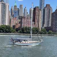 Cruise in New York City