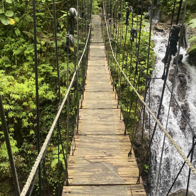 Cloud Forest, Costa Rica