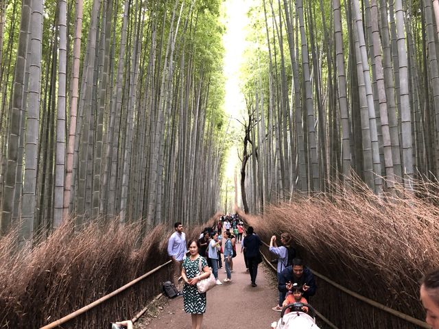 Arashiyama - Kyoto 