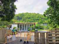 Mui Wo on Lantau Island Hong Kong