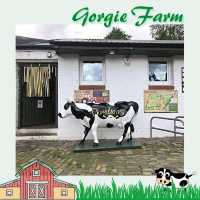 愛丁堡城市中的友好小農場Gorgie Farm