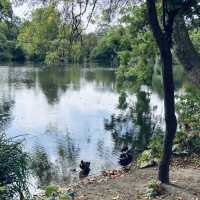An oasis within the city centre,Ørstedsparken