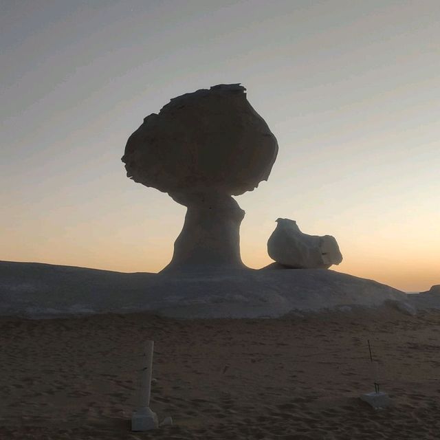 바하리야 사막속으로